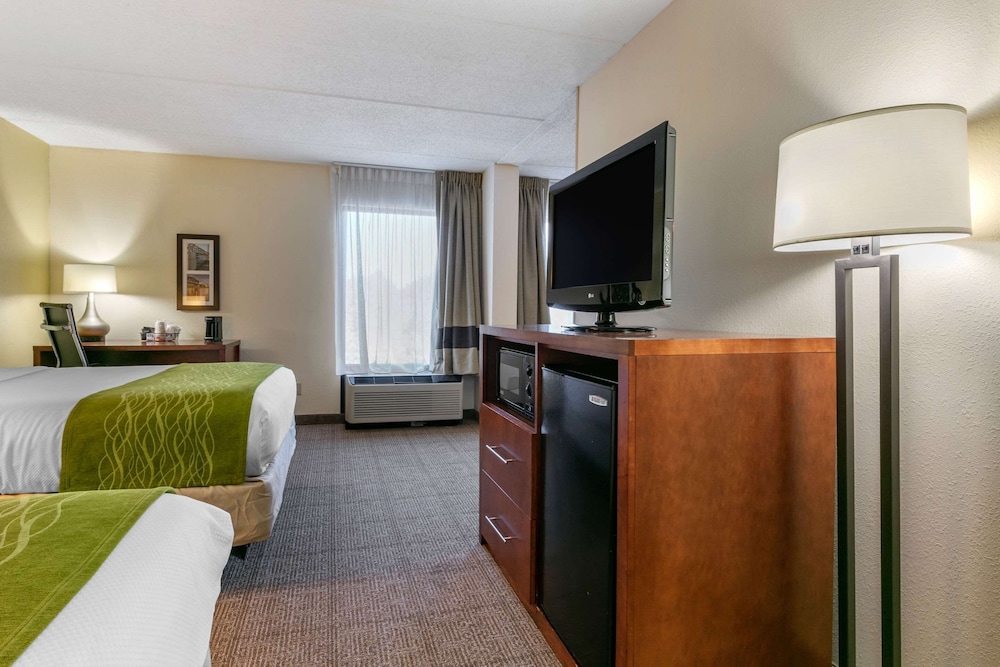 Suite, Multiple Beds, Non Smoking - Photo 4