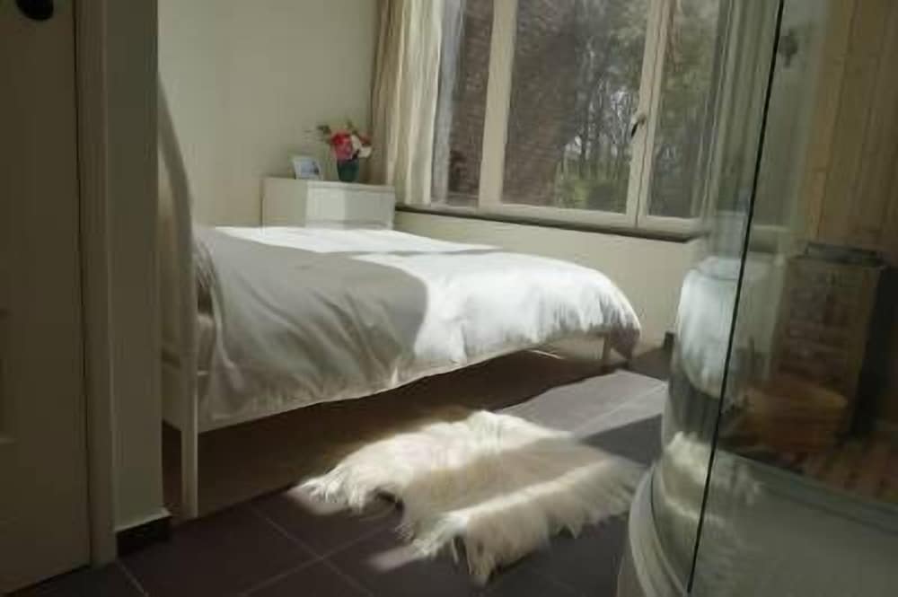 Standard Apartment photo 1