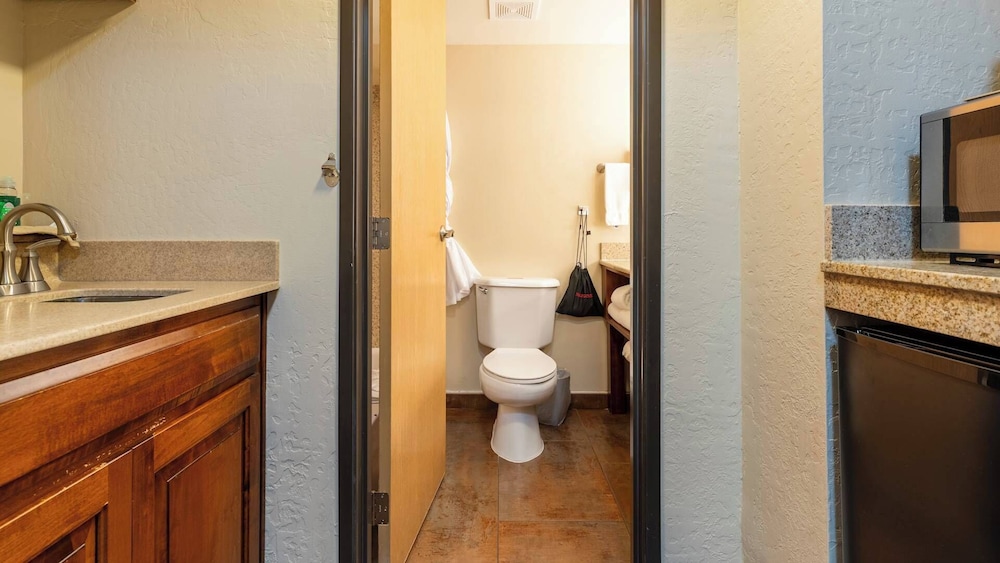 Suite, 1 Bedroom - Photo 4