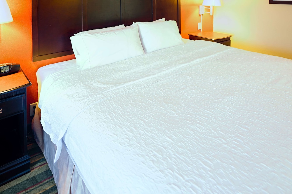 Classic Room, 1 King Bed, Accessible, Bathtub (Mobility Room - Tub) - Photo 4