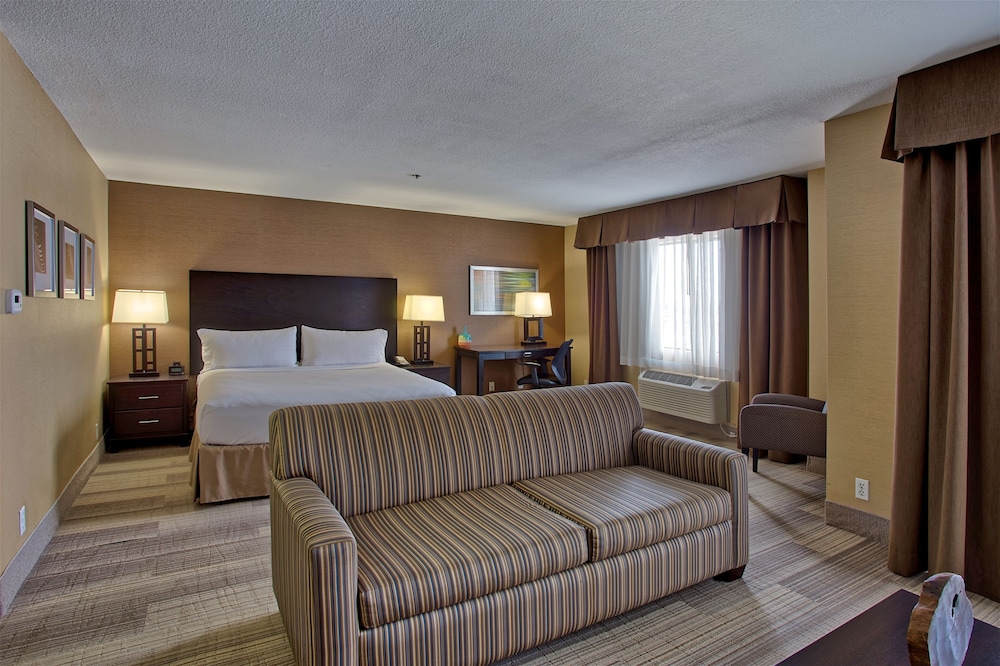 Suite, 1 King Bed photo 2