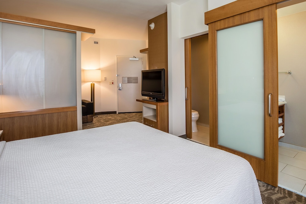 Suite, 1 King Bed with Sofa bed (Mobility/Hearing Accessible, Tub) photo 2