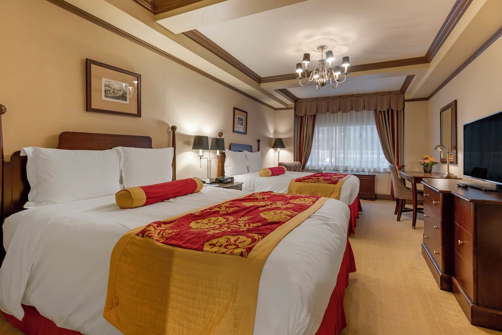 Grand Suite photo 1