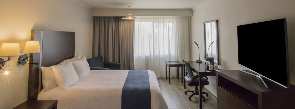 Superior Room, 1 King Bed, Non Smoking