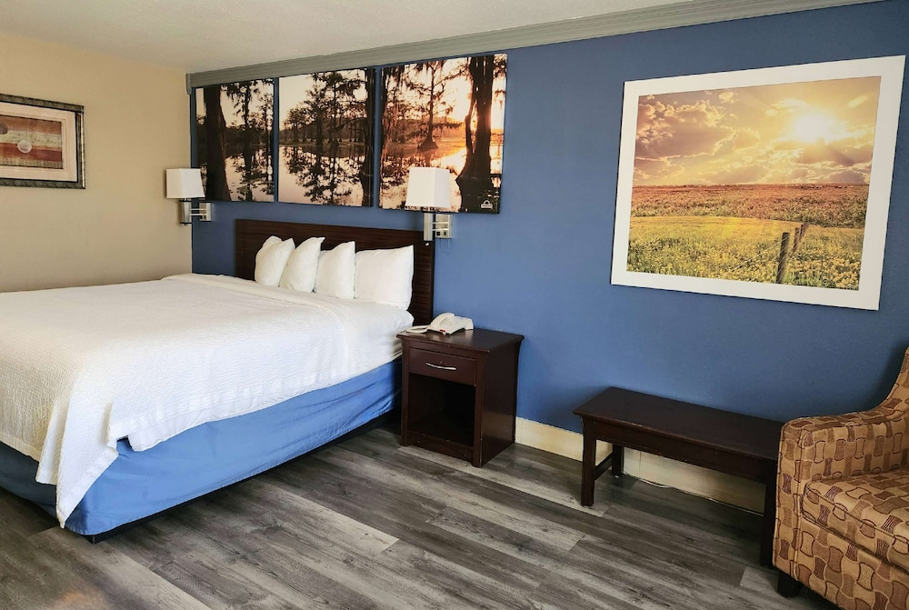 Room, 1 King Bed, Non Smoking - Photo 1