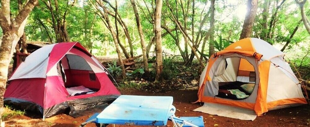 Basic Tent photo 3