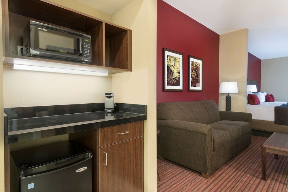 Suite, 1 King Bed, Non Smoking, Refrigerator & Microwave (Shower Only;with Sofabed) photo 3