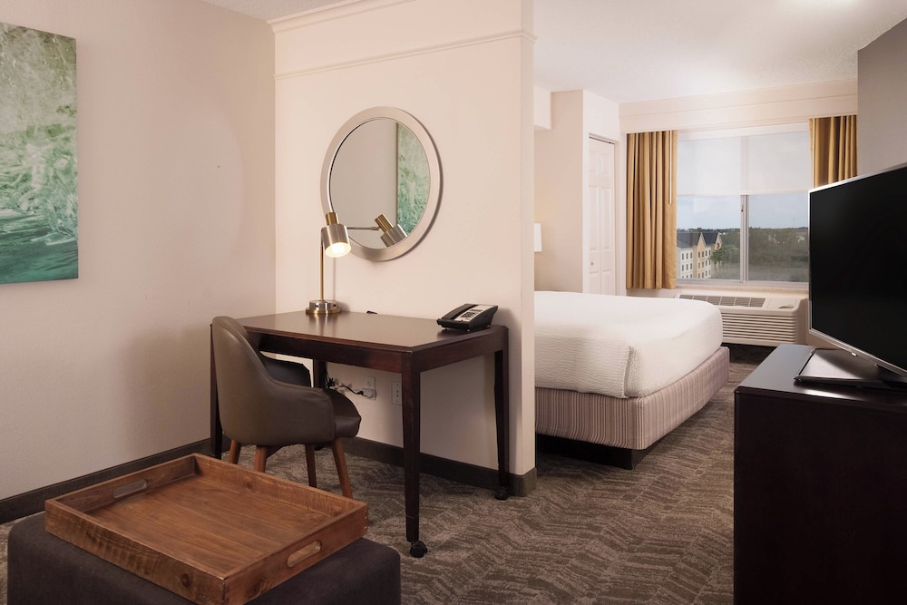 Suite, 1 King Bed with Sofa bed