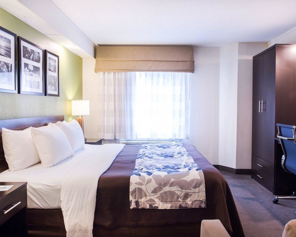 Standard Room, 1 King Bed, Non Smoking - Photo 8