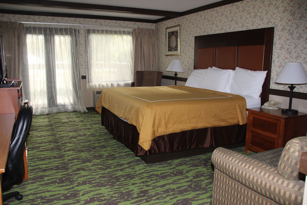 Classic Room, 1 King Bed, Refrigerator & Microwave photo 3