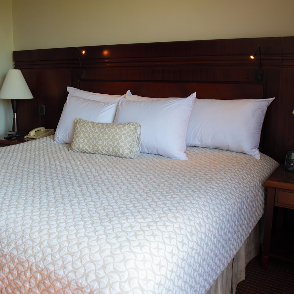 Standard Suite photo 2