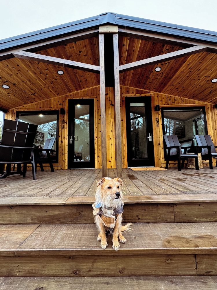 Cabin (Full) - Photo 4