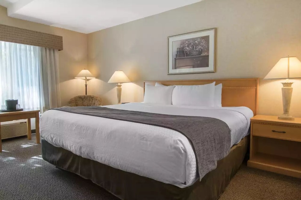 Business Room, 1 King Bed, Non Smoking photo 2