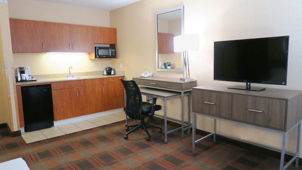 Suite, 1 Bedroom - Photo 2