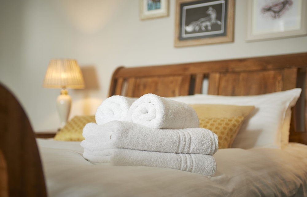 Suite, 1 King Bed (Feature) - Photo 2