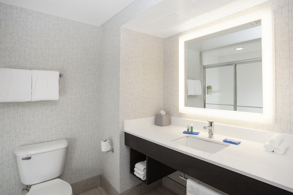 Suite, 1 King Bed, Accessible (Mobility, Roll-In Shower) - Photo 1