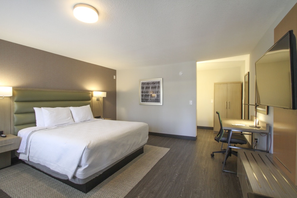 Room, 1 King Bed, Accessible photo 1