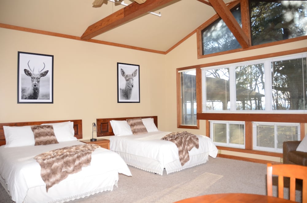 Whitetail Way (Room 3)