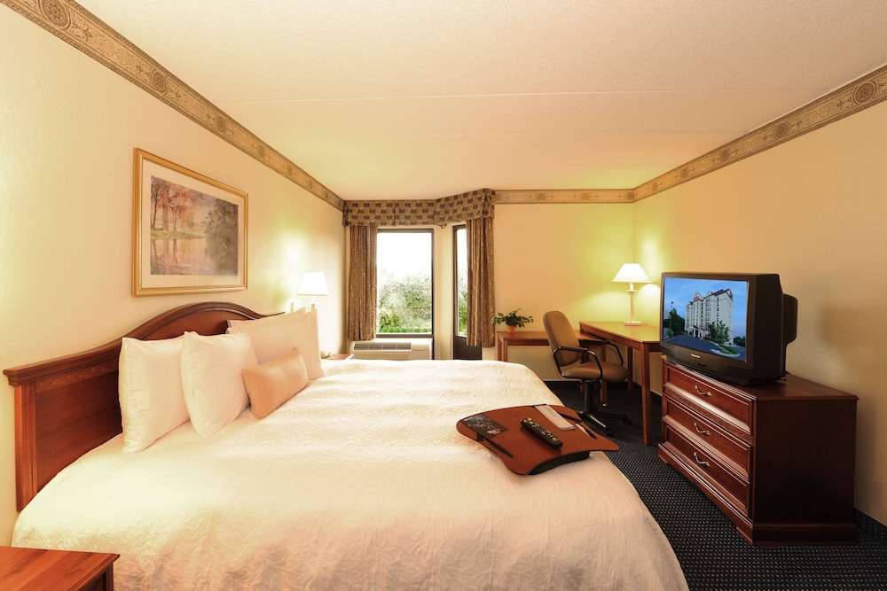Suite, 1 King Bed, Kitchen