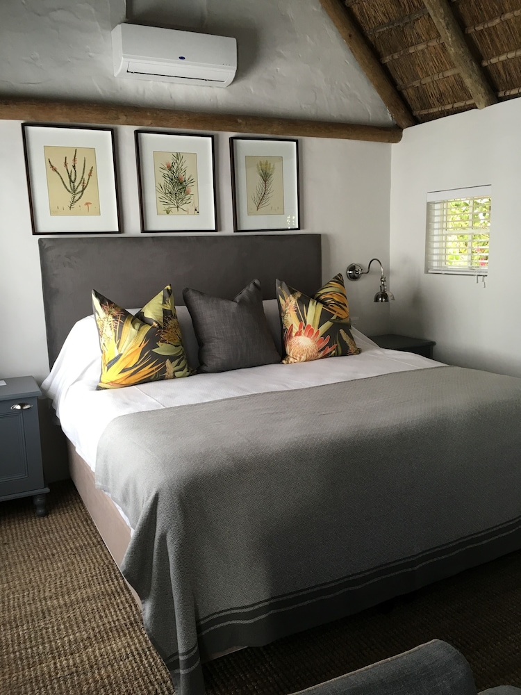 Terrace Room photo 2