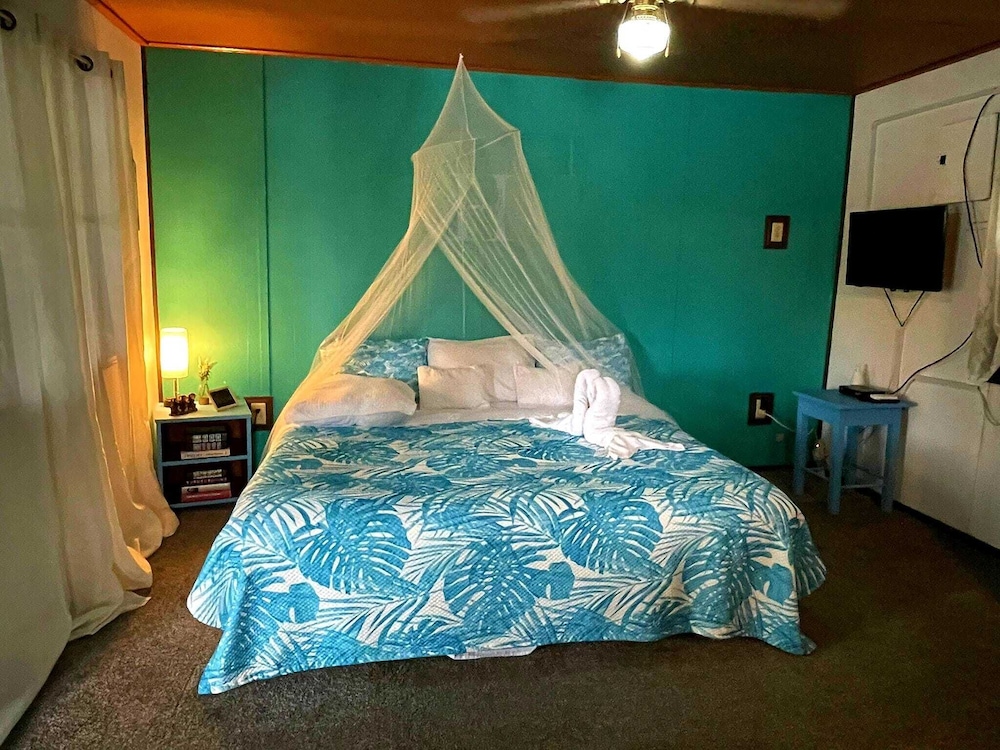 Deluxe Room photo 3