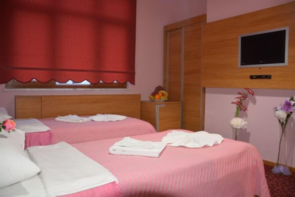 Standard Double or Twin Room photo 3