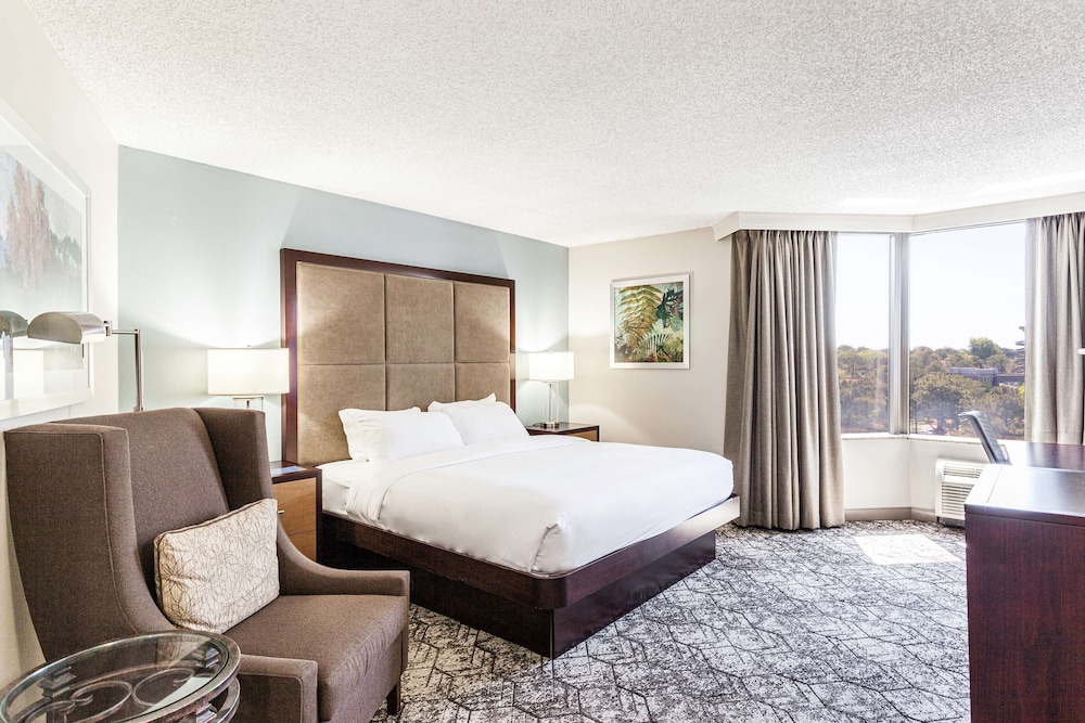 Deluxe room with king bed - Photo 9