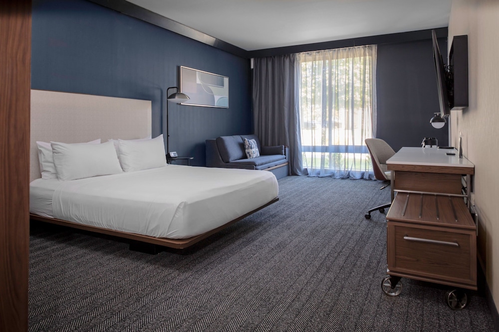 Room, 1 King Bed with Sofa bed, Roll-in Shower, Non Smoking photo 1