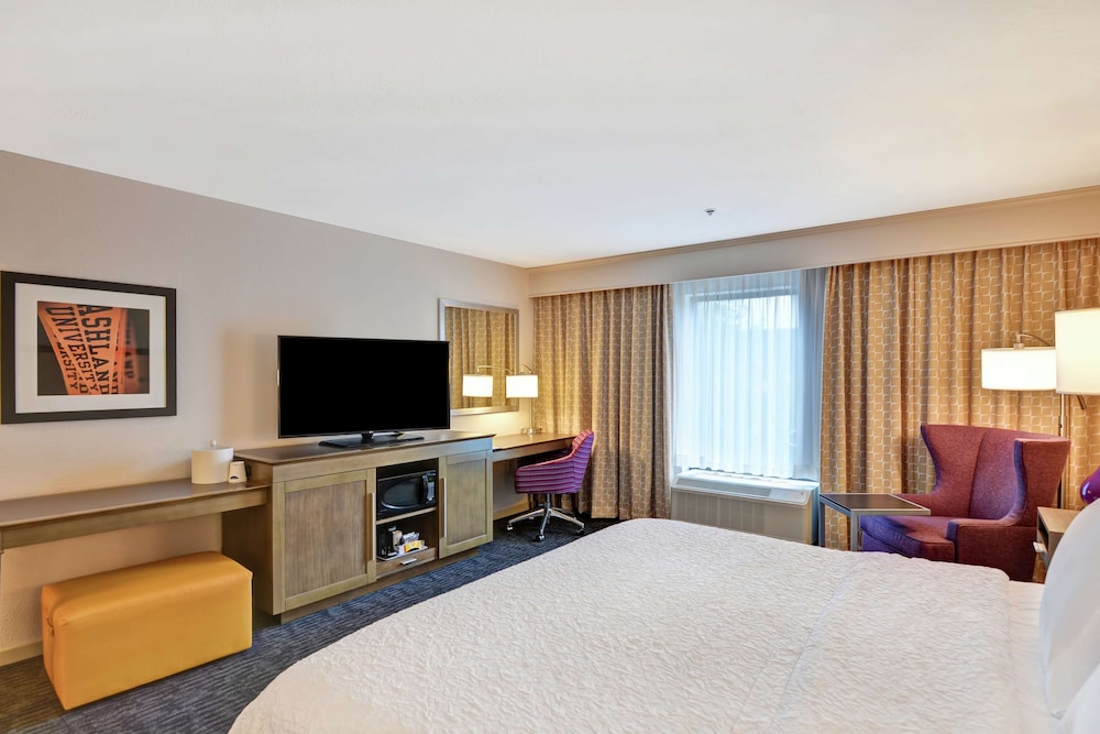 Room, 1 King Bed, Accessible, Non Smoking (Mobility & Hearing, Roll-in Shower) photo 2