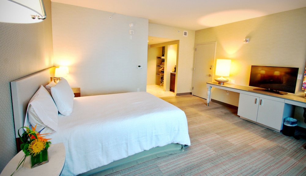 Room, 1 King Bed, Accessible (Roll-in Shower)