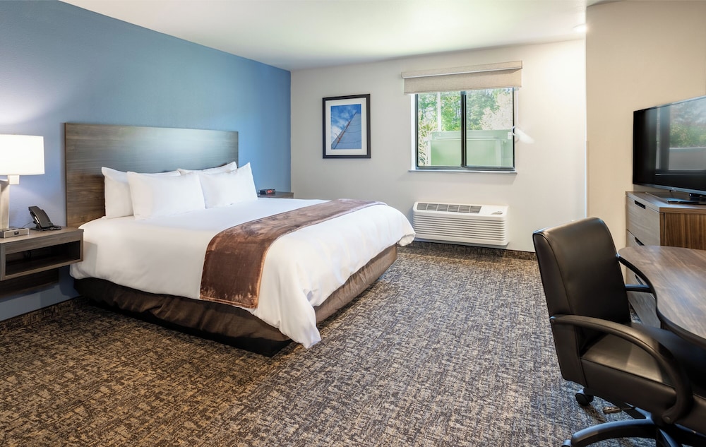Room, 1 Queen Bed, Hearing Accessible
