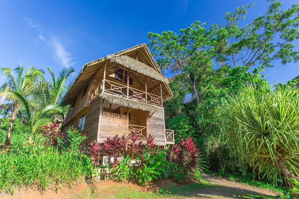 Jungle Lodge, 1 Bedroom - Photo 2