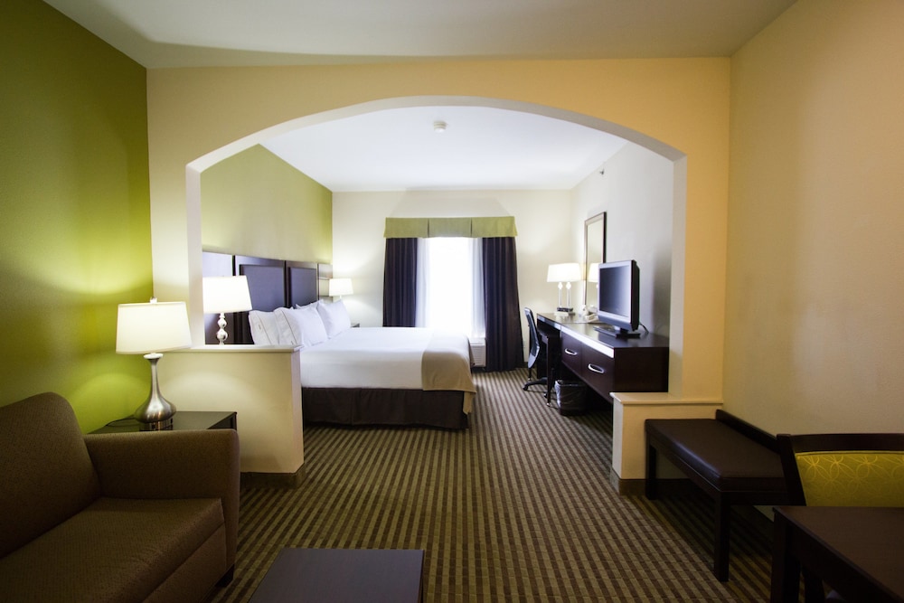 Suite, 1 King Bed with Sofa bed - Photo 1