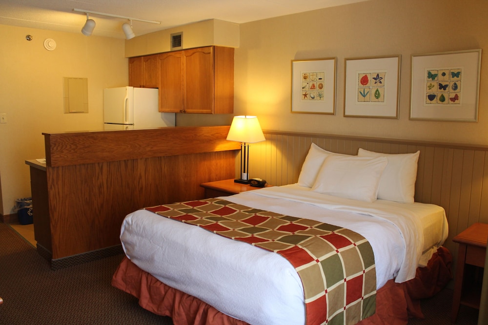 Basic 1 Queen Bed  Suite - Main building photo 2
