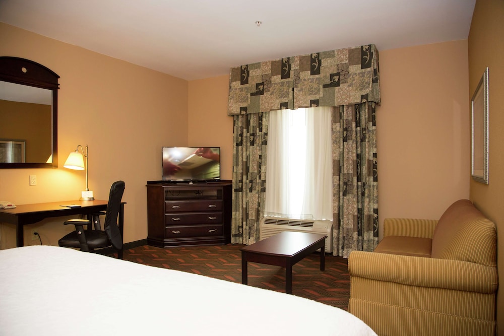 Suite, 1 King Bed, Accessible, Non Smoking - Photo 3