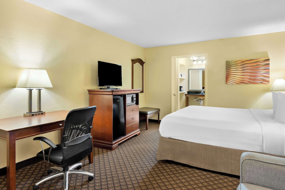 Standard Room, 1 King Bed, Non Smoking, Refrigerator & Microwave - Photo 3