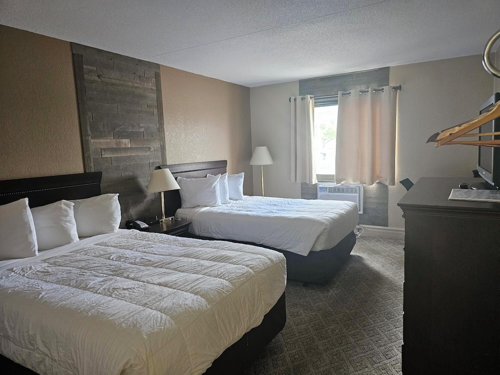 Basic Double Room