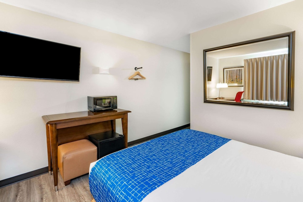 Room, 1 Queen Bed, Accessible, Non Smoking (Mobility) photo 3