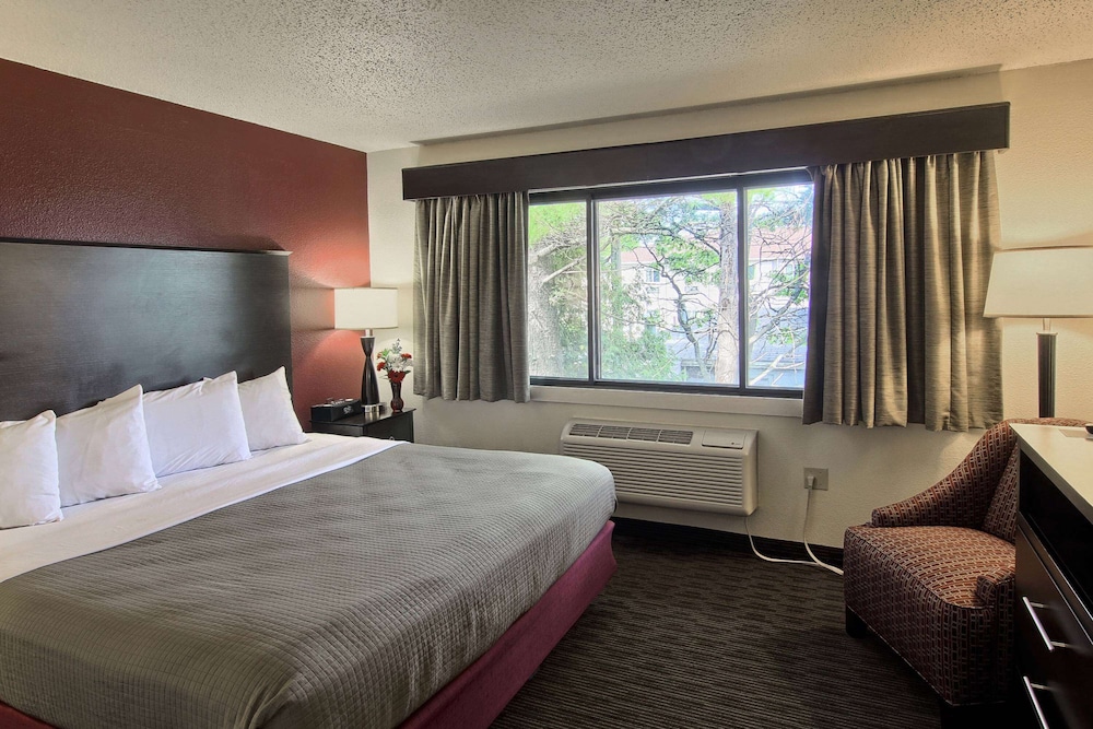 Business Suite photo 1