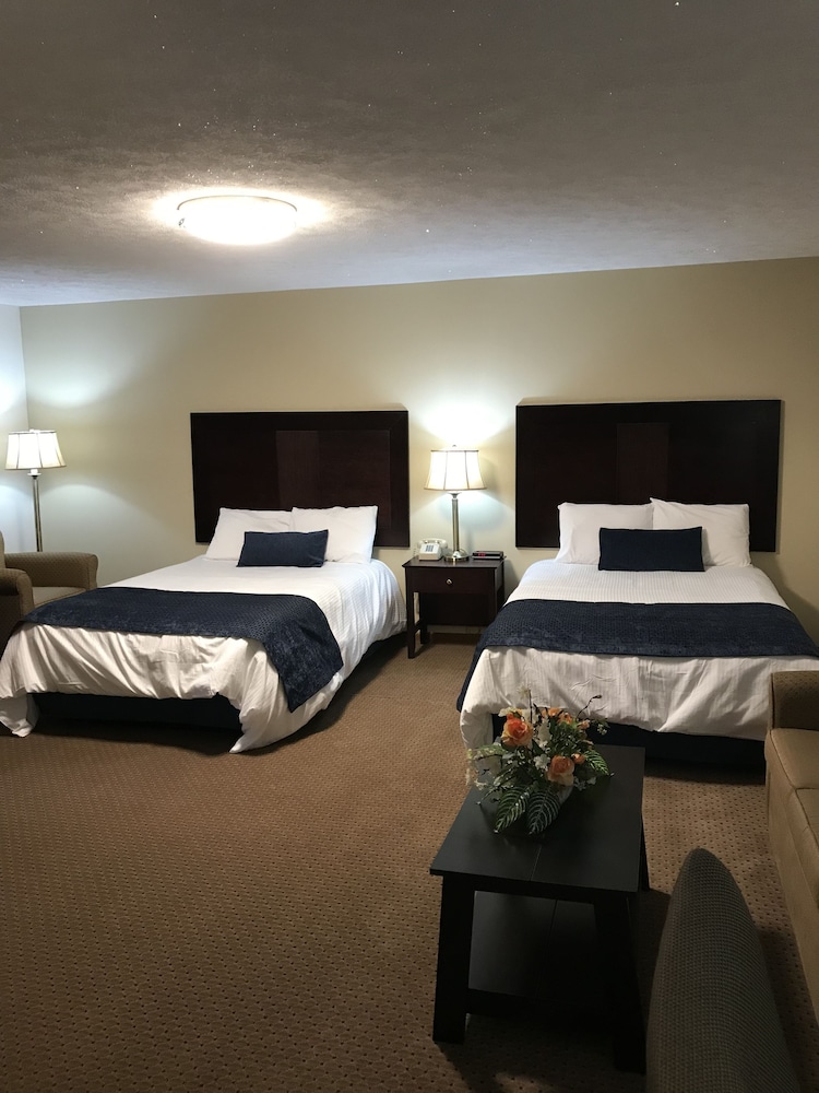 Standard Double Room, 2 Double Beds, Refrigerator & Microwave photo 1
