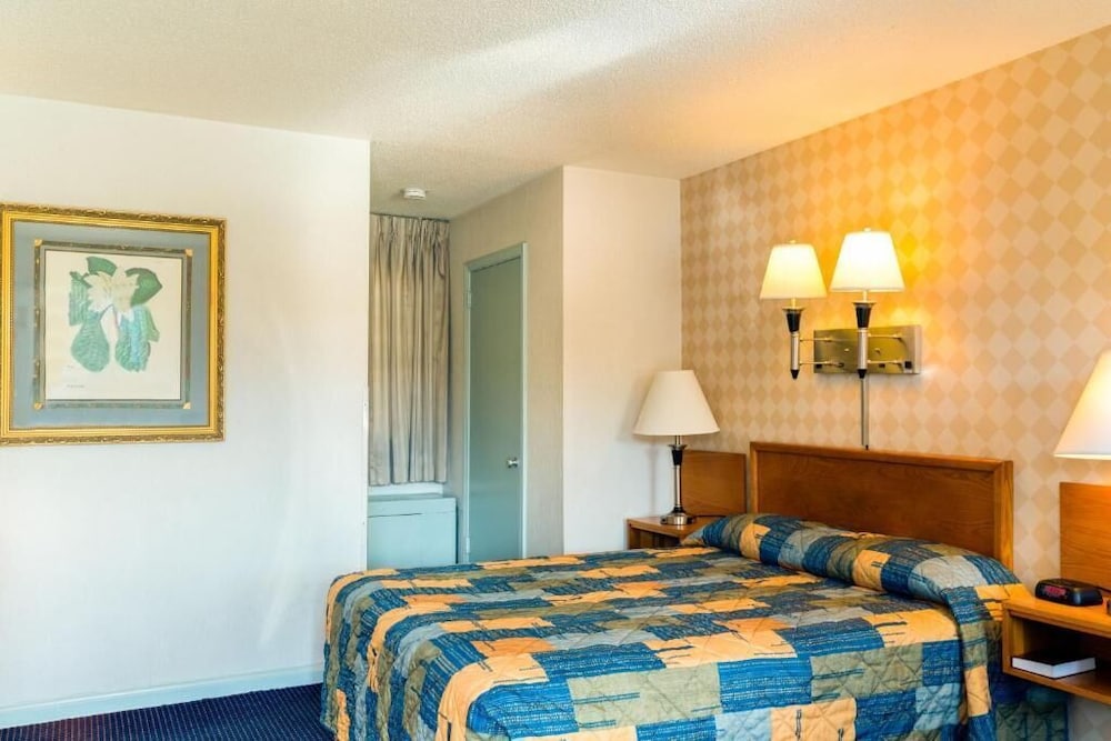 Basic Single Room, 1 Queen Bed photo 1