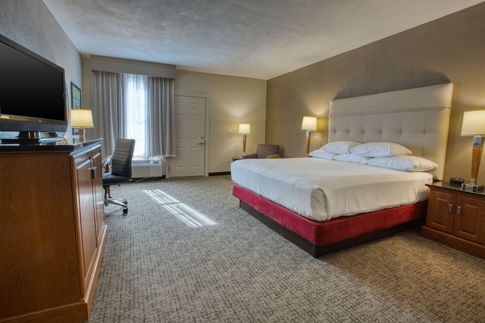 Deluxe Room, 1 King Bed, Accessible, Refrigerator & Microwave (Roll in Shower, Oversized Terrace) photo 1