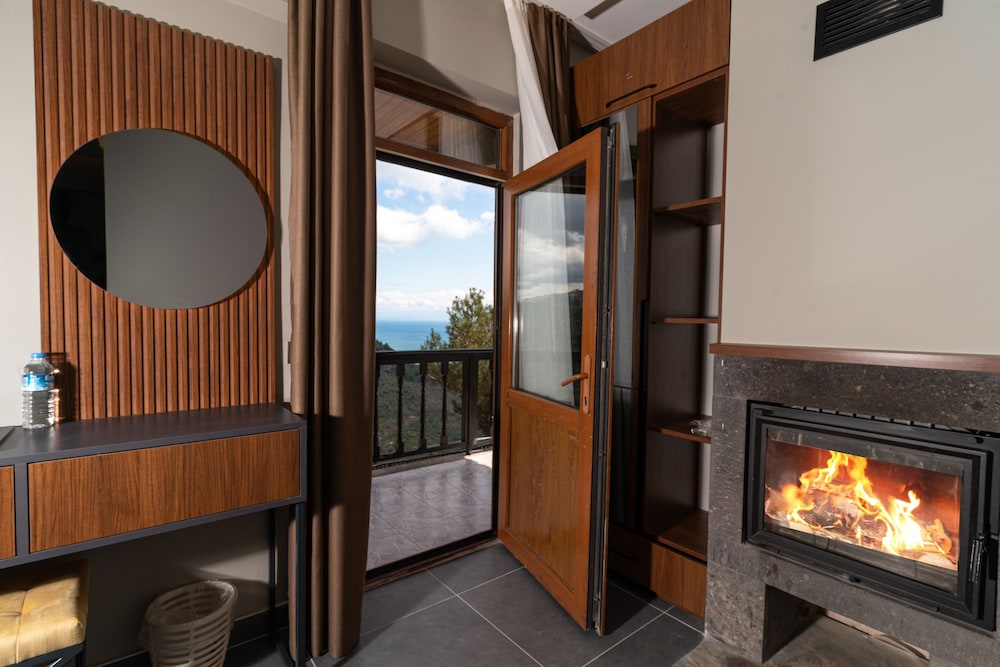 Standart Room with Fireplace photo 1