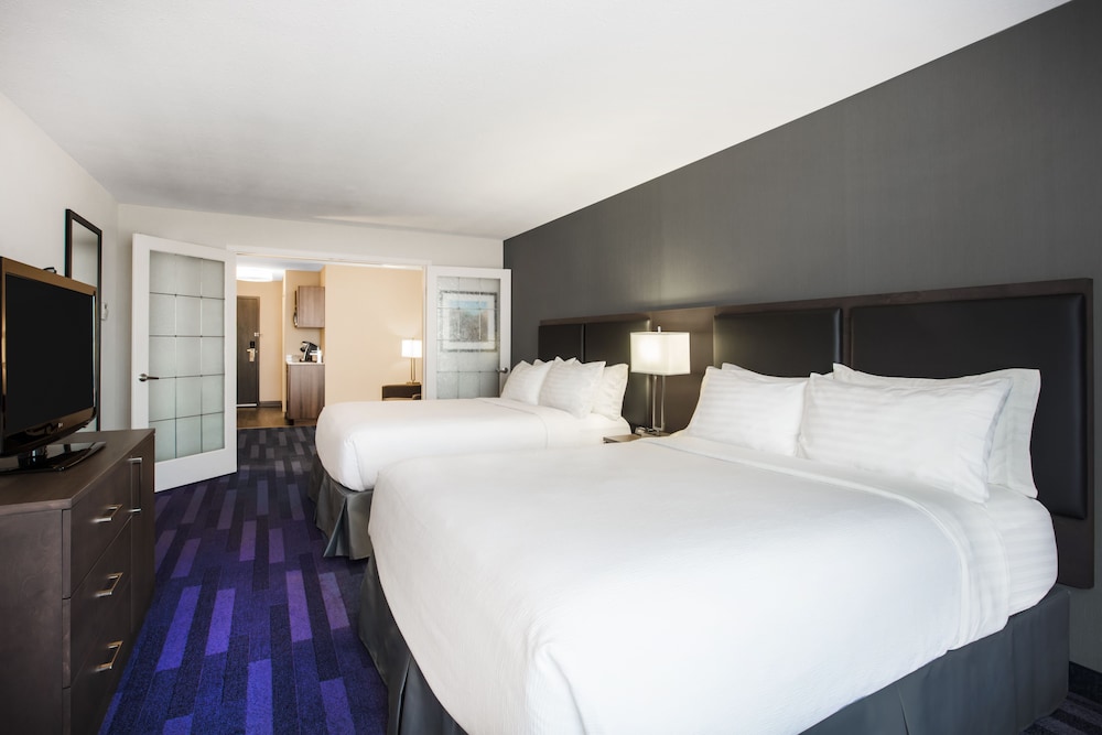 Suite, 1 Bedroom photo 3