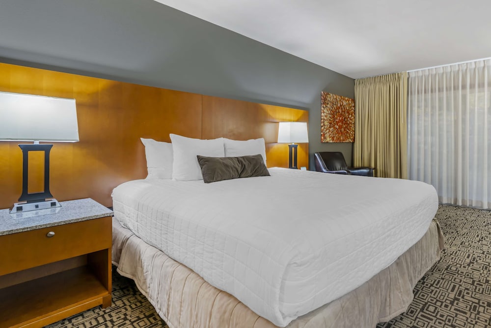 Standard Room, 1 King Bed, Accessible, Non Smoking - Photo 1