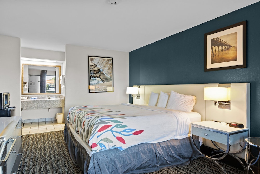 King Bed Pet Friendly photo 1