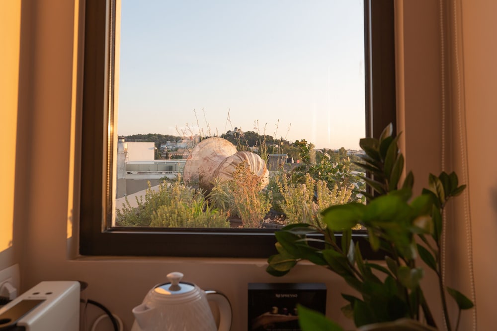 Panoramic Studio Suite photo 3