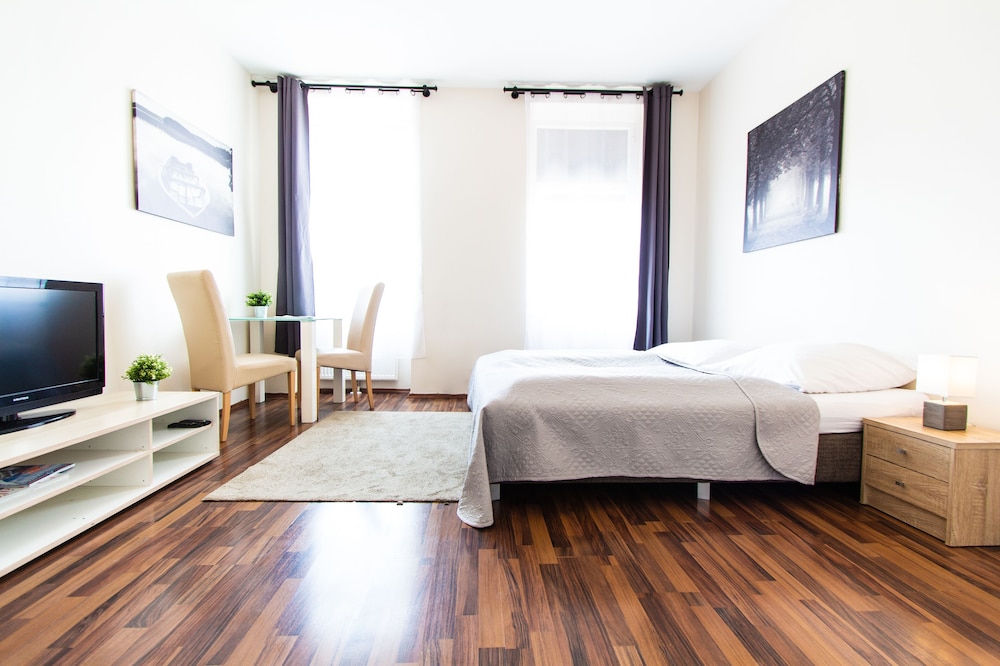 Basic Apartment, 1 Queen Bed