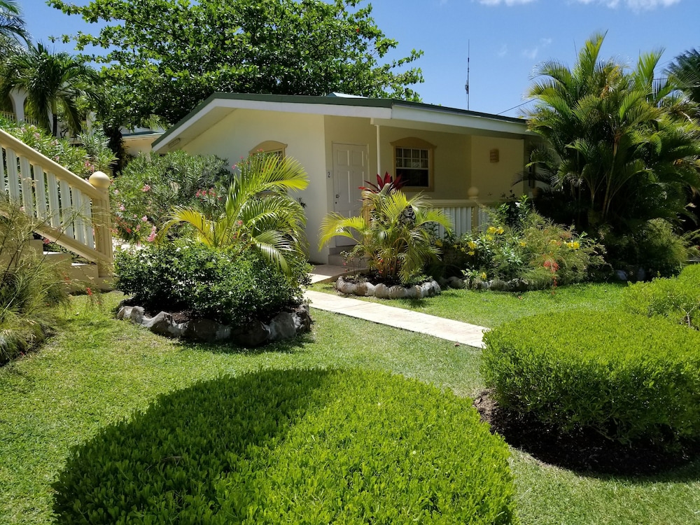 Superior Studio, 1 King Bed, Kitchenette, Garden View