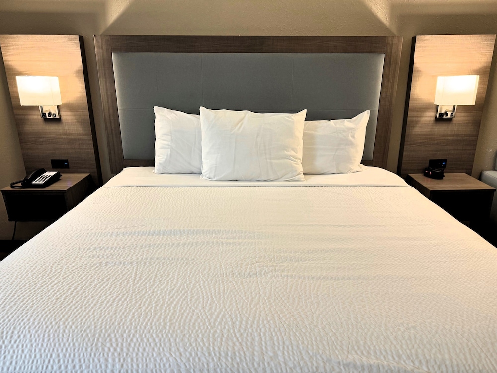 Room, 1 King Bed, Accessible, Non Smoking (Mobility, Roll-in Shower) photo 3